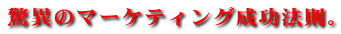 ���ق̃}�[�P�e�B���O�����@���B
